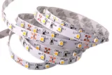 BANDA LED ALBASTRU 4.8W/m, 12V DC, SMD2835, 60LED/m, IP65 — imagine 2