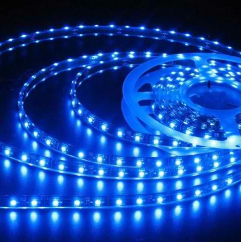 BANDA LED ALBASTRU 4.8W/m, 12V DC, SMD2835, 60LED/m, IP65