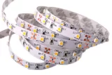 BANDA LED ALBASTRU 4.8W/m, 12V DC, SMD2835, 60LED/m, IP20 — imagine 2