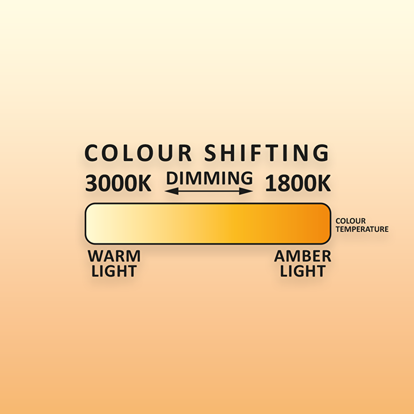 Banda LED profesionala 12W/m, Dim-to-warm, 1800K-3000K, 24V DC, 280LEDs/m, SMD2216, 5m, IP20