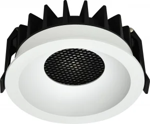 Spot LED Downlight 20W CCT Reglabil 3000K-6000K Bridgelux Alb