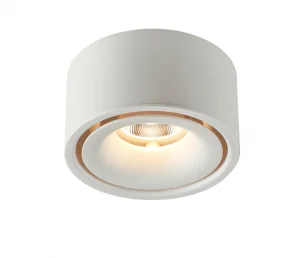 Spot LED Aplicat 10W Alb Lumină Neutră 4000K 800lm Bridgelux
